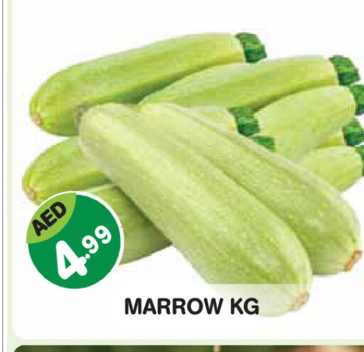 Marrow available at Baniyas Spike  in UAE - Abu Dhabi