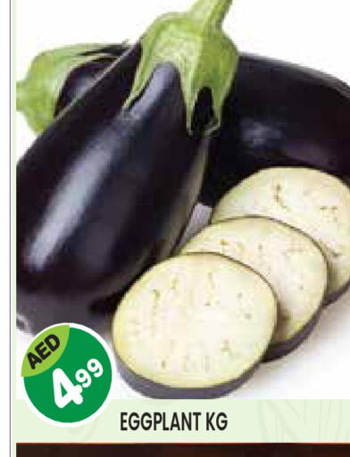 Eggplant available at Baniyas Spike  in UAE - Abu Dhabi