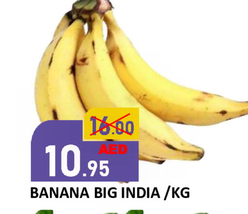 Banana from India available at رويال جلف هايبرماركت in الإمارات العربية المتحدة , الامارات - أبو ظبي