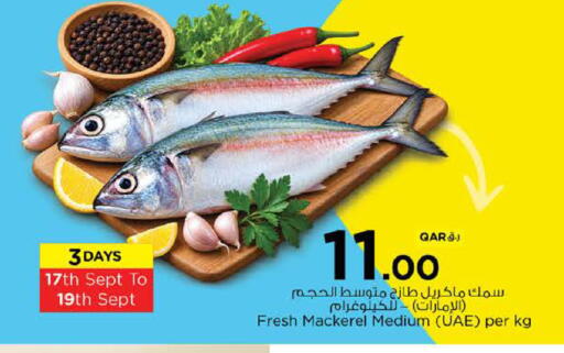 available at نـسـتـو in قطر - الريان