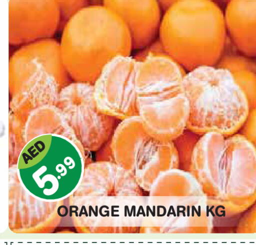 Orange Mandarin available at Baniyas Spike  in UAE - Abu Dhabi