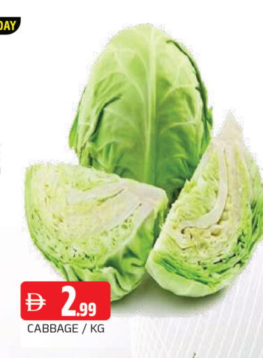 Cabbage available at AL MADINA in UAE - Sharjah / Ajman
