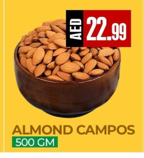 available at ريفييرا سوبرماركت in الإمارات العربية المتحدة , الامارات - أبو ظبي