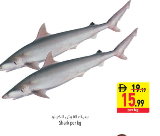 available at السفير ماركت in الإمارات العربية المتحدة , الامارات - الشارقة / عجمان