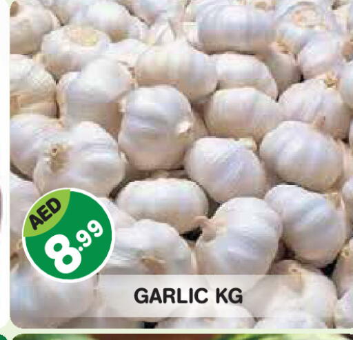 Garlic available at Baniyas Spike  in UAE - Abu Dhabi