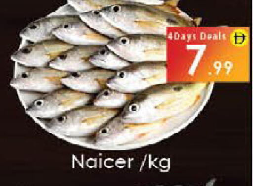 available at ايكو مول & ايكو هايبرماركت in الإمارات العربية المتحدة , الامارات - ٱلْعَيْن‎