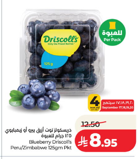 Blueberry BlueBerry from Zimbabwe available at لولو هايبرماركت in مملكة العربية السعودية, السعودية, سعودية - الطائف