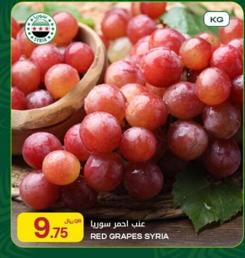 Grapes from Syria available at شركة الميرة للمواد الاستهلاكية in قطر - الوكرة