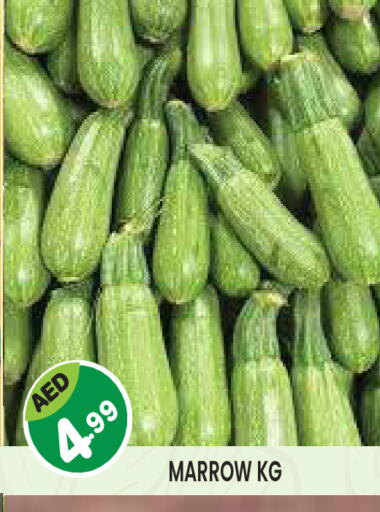 Marrow available at Baniyas Spike  in UAE - Al Ain