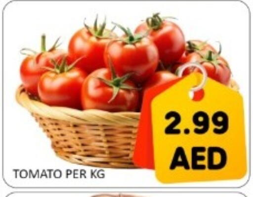 Tomato available at GREEN GIFT DEPARTMENT STORE in UAE - Abu Dhabi