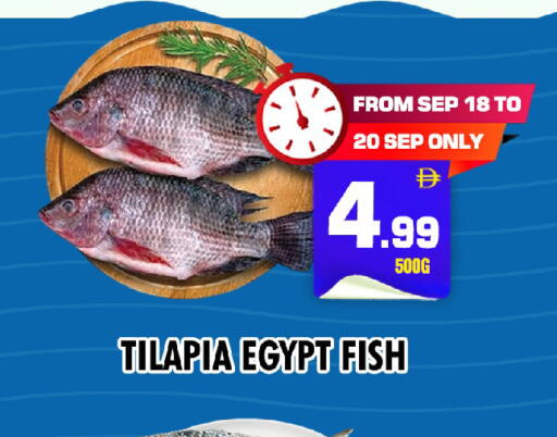 available at NIGHT TO NIGHT DEPARTMENT STORE in UAE - Sharjah / Ajman