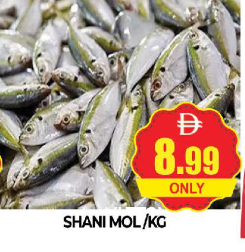 available at AL MADINA (Dubai) in UAE - Dubai