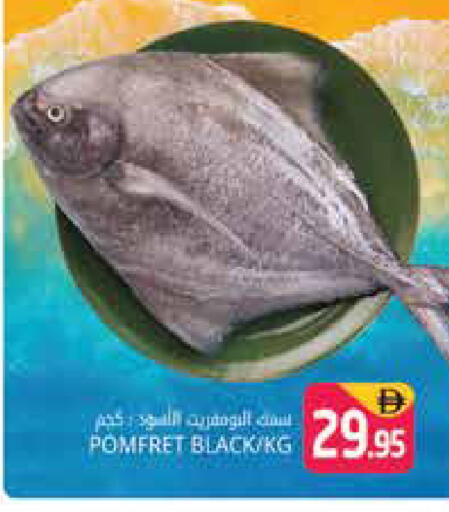 available at هايبر ماركت باسونز in الإمارات العربية المتحدة , الامارات - دبي