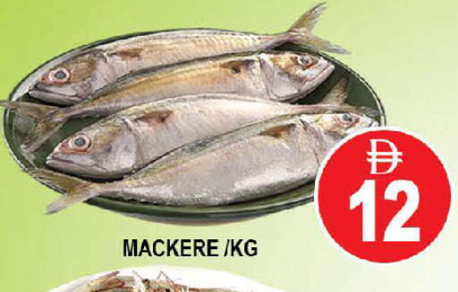 available at AL MADINA (Dubai) in UAE - Dubai