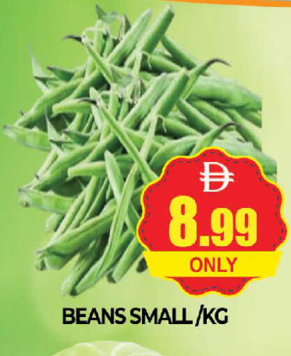 available at AL MADINA (Dubai) in UAE - Dubai