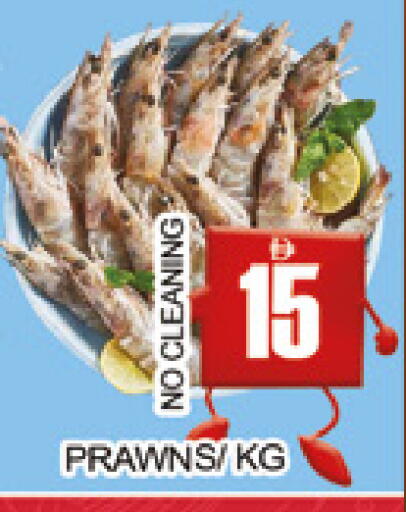available at AL MADINA (Dubai) in UAE - Dubai