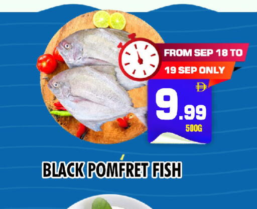available at نايت تو نايت in الإمارات العربية المتحدة , الامارات - دبي
