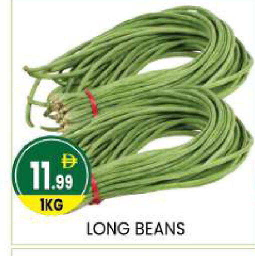 available at سوق طلال in الإمارات العربية المتحدة , الامارات - أبو ظبي