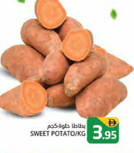Sweet Potato available at هايبر ماركت باسونز in الإمارات العربية المتحدة , الامارات - دبي
