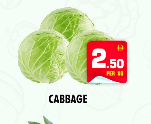 Cabbage available at نايت تو نايت in الإمارات العربية المتحدة , الامارات - دبي