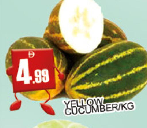 Cucumber available at AL MADINA (Dubai) in UAE - Dubai