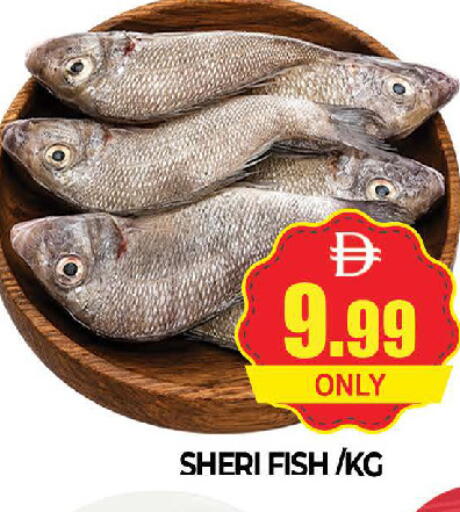 available at AL MADINA (Dubai) in UAE - Dubai