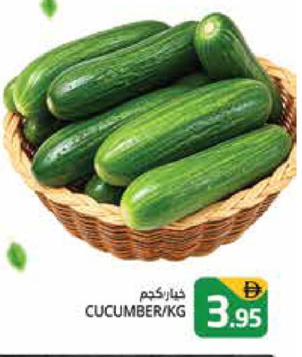 Cucumber available at هايبر ماركت باسونز in الإمارات العربية المتحدة , الامارات - دبي