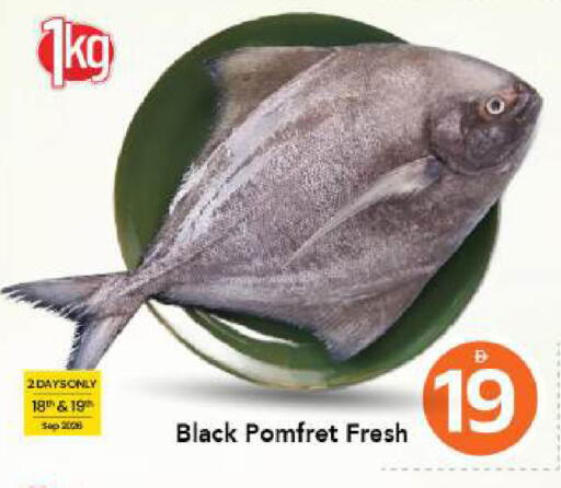 available at مارك & سيف in الإمارات العربية المتحدة , الامارات - دبي
