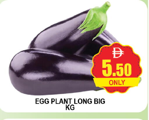 available at AL MADINA (Dubai) in UAE - Dubai