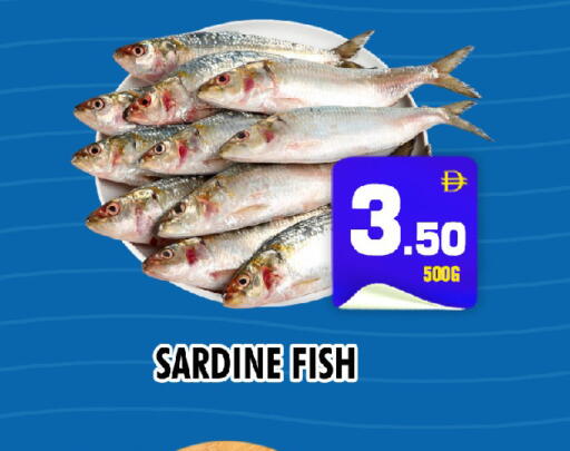 available at NIGHT TO NIGHT DEPARTMENT STORE in UAE - Sharjah / Ajman