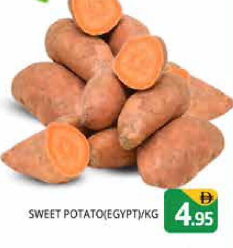 Sweet Potato from Egypt available at هايبر ماركت باسونز in الإمارات العربية المتحدة , الامارات - دبي