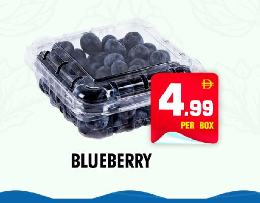 Blueberry BlueBerry available at نايت تو نايت in الإمارات العربية المتحدة , الامارات - دبي