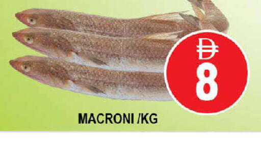 available at AL MADINA (Dubai) in UAE - Dubai
