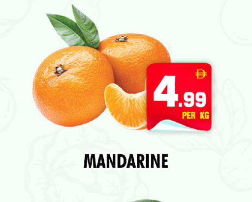 available at نايت تو نايت in الإمارات العربية المتحدة , الامارات - دبي