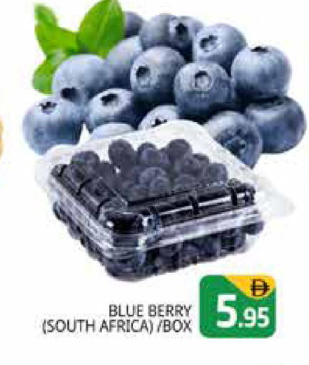 from South Africa available at Pasons Hypermarket in UAE - Dubai