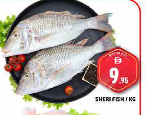 available at Pasons Hypermarket in UAE - Dubai
