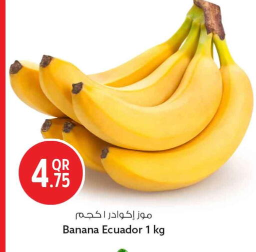 Banana from Ecuador available at Safari Hypermarket in Qatar - Al Wakra