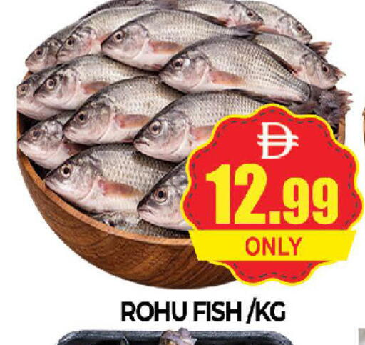available at AL MADINA (Dubai) in UAE - Dubai