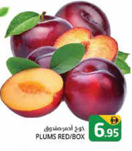 Plums available at هايبر ماركت باسونز in الإمارات العربية المتحدة , الامارات - دبي