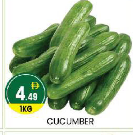 Cucumber available at سوق طلال in الإمارات العربية المتحدة , الامارات - أبو ظبي