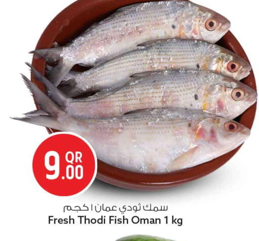 available at Safari Hypermarket in Qatar - Doha