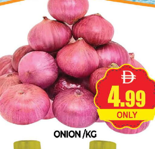 Onion available at AL MADINA (Dubai) in UAE - Dubai