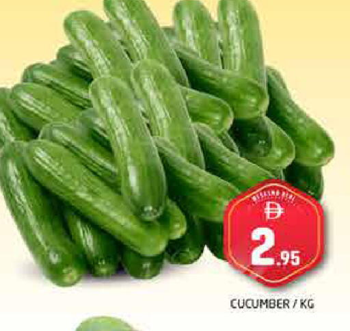Cucumber available at هايبر ماركت باسونز in الإمارات العربية المتحدة , الامارات - دبي