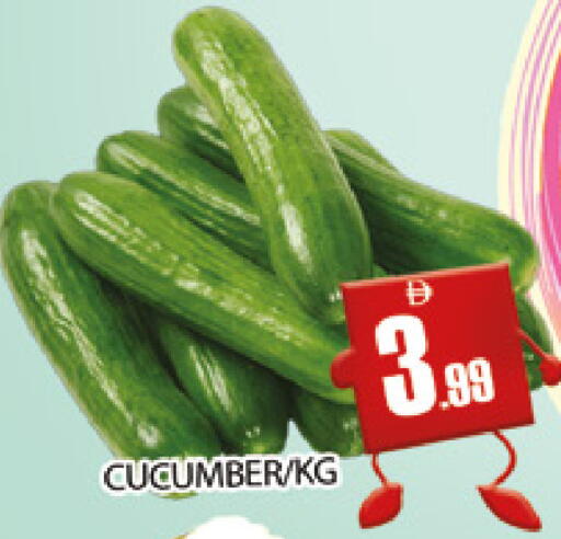 Cucumber available at AL MADINA (Dubai) in UAE - Dubai