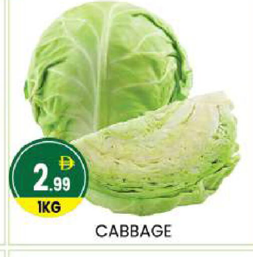 Cabbage available at سوق طلال in الإمارات العربية المتحدة , الامارات - أبو ظبي