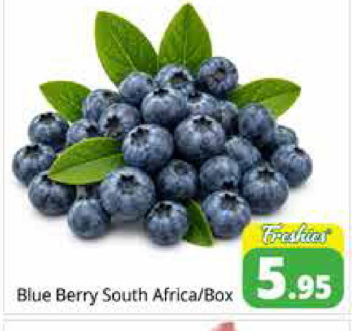 from South Africa available at Pasons Hypermarket in UAE - Dubai