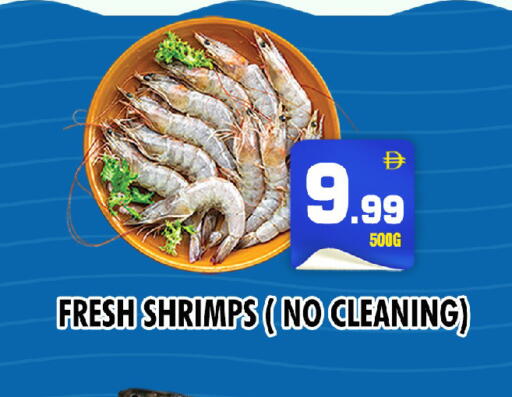 available at نايت تو نايت in الإمارات العربية المتحدة , الامارات - دبي