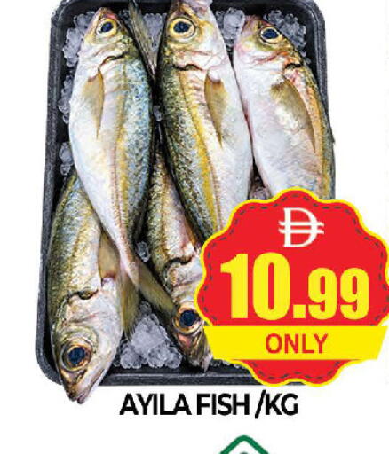 available at AL MADINA (Dubai) in UAE - Dubai