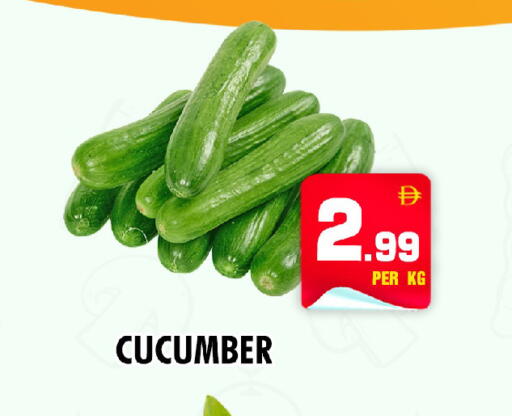 Cucumber available at نايت تو نايت in الإمارات العربية المتحدة , الامارات - دبي