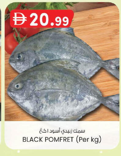 available at Al Safa in UAE - Abu Dhabi
